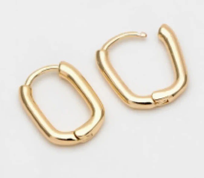 The Brileigh Hoops 18k Gold Plated Earrings